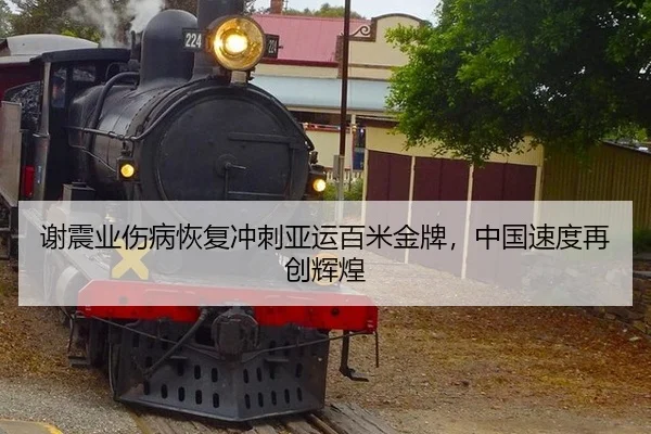 xie-zhen-ye-shang-bing-hui-fu-chong-ci-ya-yun-bai-mi-jin-pai-zhong-guo-su-du-zai-chuang-hui-huang-2-141.jpg